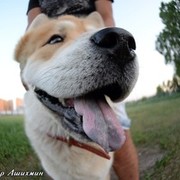 ���������� ��������, ���� ������� Sergei, 39 ���, ������������ ��� ������