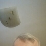  ,   , 61 ,   ,   , c 