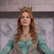 ���������� �����������, ���� ������� ����� �����, 23 ����, ������������ ��� ������, ����� � ���������