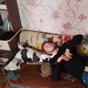  Kassel,   , 23 ,   ,   , c 