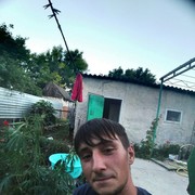 ���������� ����, ���� ������� ���������, 33 ����, ������������ ��� ������, ����� � ���������, c�������� ���������