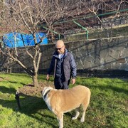 ���������� ����, ���� ������� ������, 34 ����, ������������ ��� ������