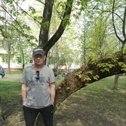  ,   , 66 ,   , 