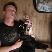 ���������� �������, ���� ������� ��������, 28 ���, ������������ ��� ������, ����� � ���������, c�������� ���������