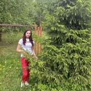  ,   , 34 ,   c , 