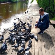 ���������� ��������, ���� ������� ���������, 30 ���, ������������ ��� ������, ����� � ���������, c�������� ���������