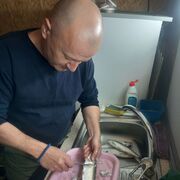 ���������� ������, ���� ������� �������, 50 ���, ������������ ��� ������, ����� � ���������, c�������� ���������, ���������