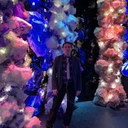 ���������� ������, ���� ������� ������, 43 ����, ������������ ��� ������, ����� � ���������