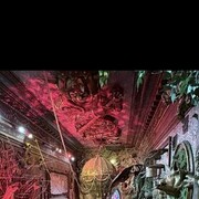 ���������� �����-���������, ���� ������� ˸��, 28 ���, ������������ ��� ����� � ���������, c�������� ���������