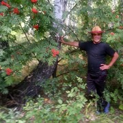 ���������� ���������, ���� ������� ������, 56 ���, ������������ ��� ���������