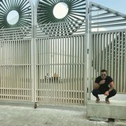 ���������� ���������, ���� ������� ������, 38 ���, ������������ ��� ����� � ���������