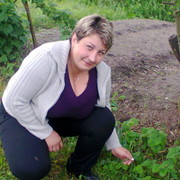 ���������� �����, ���� ������� ����, 41 ���, ������������ ��� ������, ����� � ���������, c�������� ���������