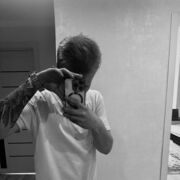 ���������� ������, ���� ����� Alexander, 23 ����, ������������ ��� ������, ����� � ���������, c�������� ���������, ���������