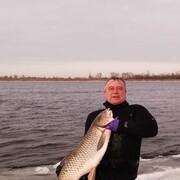 ���������� ���������, ���� ������� ������, 55 ���, ������������ ��� ������, ����� � ���������