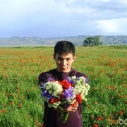 ���������� �����, ���� ������� �����, 38 ���, ������������ ��� ������, ����� � ���������, c�������� ���������