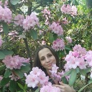  ,   Nikandra, 34 ,   