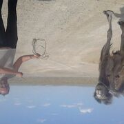  ,   , 47 ,   ,   , c , 