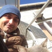 ���������� ��������������, ���� ������� ����, 38 ���, ������������ ��� ������, ����� � ���������, c�������� ���������, ���������