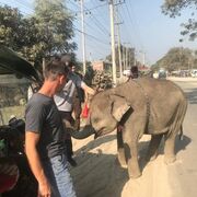 ���������� �����������, ���� ������� ���������, 47 ���, ������������ ��� ������, ����� � ���������, ���������