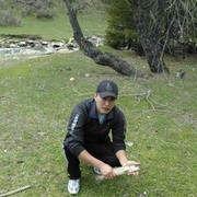  ,   , 37 ,   