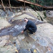 ���������� ������, ���� ������� ������, 37 ���, ������������ ��� ������