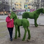  ,   , 48 ,  