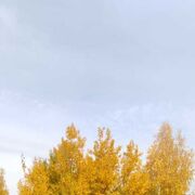  ,   , 49 ,   ,   , c 