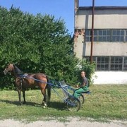  ,   , 37 ,  
