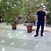  ,   , 41 ,  