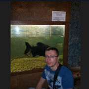 ���������� �����-���������, ���� ������� �������, 40 ���, ������������ ��� ������, ����� � ���������