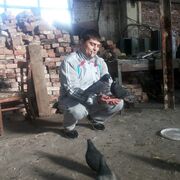 ���������� ������, ���� ������� ����, 39 ���, ������������ ��� ����� � ���������, c�������� ���������