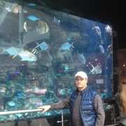  ,   , 46 ,   c 