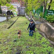 ���������� �������������-����������, ���� ������� �������, 64 ����, ������������ ��� ������, ����� � ���������