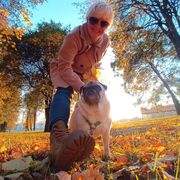 ���������� ������, ���� ������� ����, 46 ���, ������������ ��� ����� � ���������, c�������� ���������