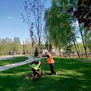 ���������� ������, ���� ������� ����, 32 ����, ������������ ��� ������, ����� � ���������