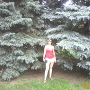 ���������� ���������, ���� ������� ������� 28, 41 ���, ������������ ��� ����� � ���������, c�������� ���������