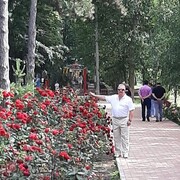  --,   , 60 ,     , c 