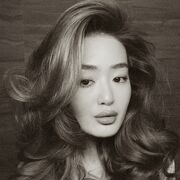 ���������� ��������, �������