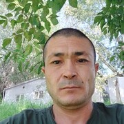 ���������� ������, ���� ������� ��������, 41 ���, ������������ ��� ������, ����� � ���������