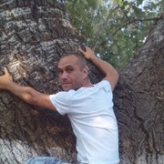 ���������� �����, ���� ������� ����, 44 ����, ������������ ��� ������, ����� � ���������, c�������� ���������