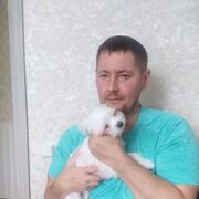 ���������� �����������, ���� ������� ���������, 43 ����, ������������ ��� ������, ����� � ���������