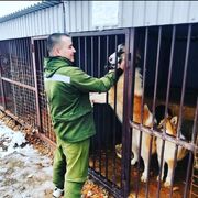 ���������� ������, ���� ������� �����, 28 ���, ������������ ��� ������, ����� � ���������