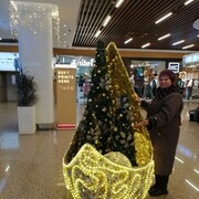 ���������� ������, ���� ������� �������, 62 ����, ������������ ��� c�������� ���������