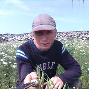  ,   , 38 ,   ,   