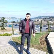  Bytom,   Elcin, 44 ,   ,   