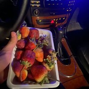  ,   , 29 ,   ,   