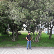 ���������� ����, ���� ������� Dovud, 26 ���, ������������ ��� ������, ����� � ���������