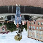 ���������� ������, ���� ������� �������, 40 ���, ������������ ��� ������, ����� � ���������, c�������� ���������