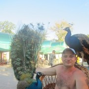  ,   , 38 ,   
