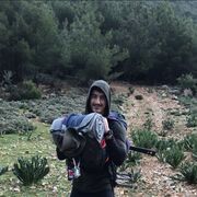  Beirut,   Panda, 33 ,   ,   
